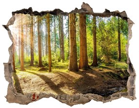 Lyuk 3d fali matrica Panorama erdő nd-k-145813283