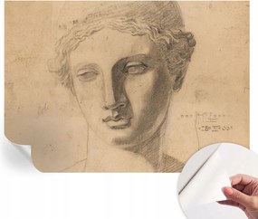 Öntapadós Dekoratív Fotótapéta Hálószobába Női portré 208x146 cm