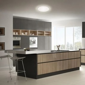 Briloner 3046-014 - LED Mennyezeti lámpa LED/15W/230V 4000K átm. 28 cm ezüst