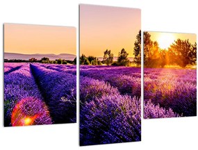 A levendula mező képe, Provence (90x60 cm)