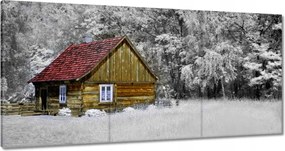 Festmények 180x90 Fa ház Bale