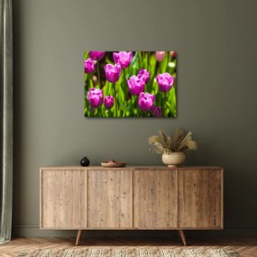 Tulipánok a réten képe (70x50 cm)