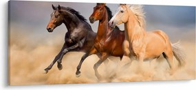 Kép - Vad lovak (120x50 cm)