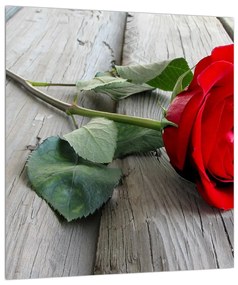 Rózsás képe (30x30 cm)