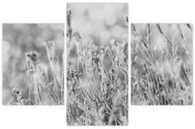 Kép - Hideg tél (90x60 cm)