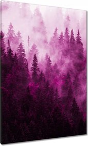 Vászonkép 70x100 Tájkép Rózsa Hegyek Köd