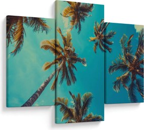 Kép - Magas pálmafák (90x60 cm)