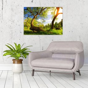 Kép egy tavaszi rétről (70x50 cm)