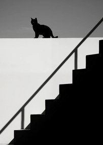 Poszter 64x90cm Sziluett és szimmetria