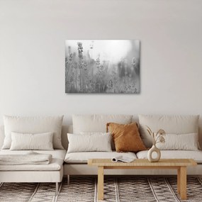 Kép - Levendula (70x50 cm)