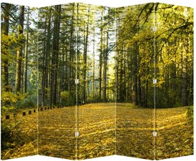 Paraván - Erdő ősszel (210x170 cm)
