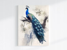 Poszter Grafika Természet Madár Kék Páva Toll 60x80