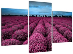 Modern képek - virágok  (90x60cm)