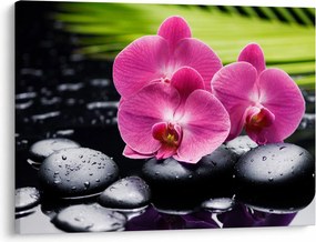 Kép - Rózsaszín orchidea pálmalevéllel (70x50 cm)