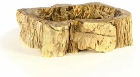 DIVERO Mosdókagyló természetes kőből - FOSSIL