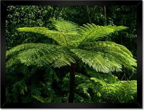 Poszterek keretben 40x30 Virágok