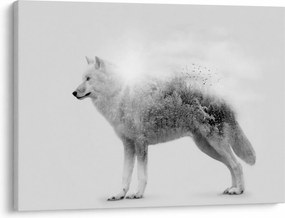 Kép - Vad tájat tükröző sarkvidéki farkas, fekete-fehér (70x50 cm)