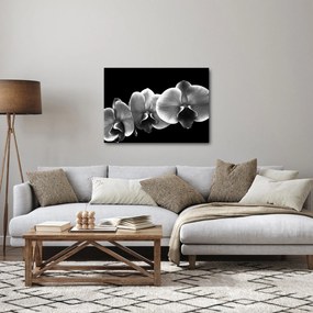 Egy orchidea virág képe (70x50 cm)