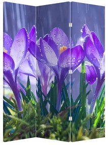 Paraván - Virágok az esőben (126x170 cm)