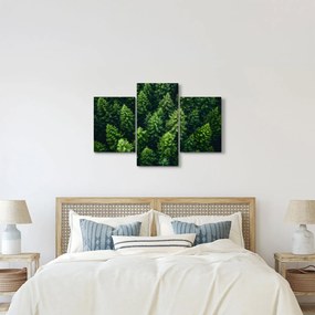 Kép - Forest (90x60 cm)