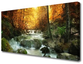 Vászonkép Forest őszi vízesés Természet 100x50 cm
