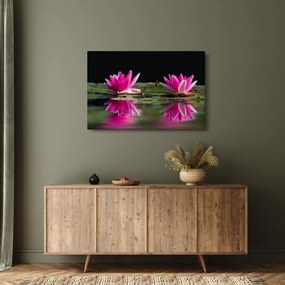 A tavirózsa képe a vízen (90x60 cm)