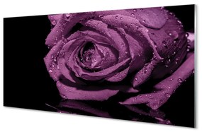 Üvegképek lila rózsa 140x70 cm