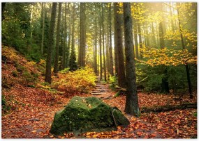 Poszterek 100x70 Tájkép