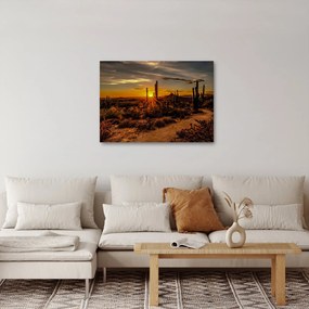 Kép - A nap vége az arizonai sivatagban (70x50 cm)