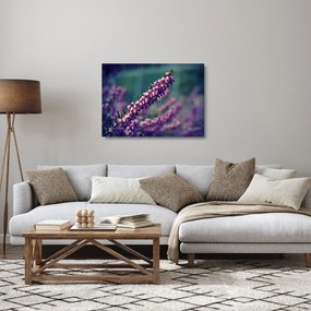 Levandula képe (üvegen) (70x50 cm)