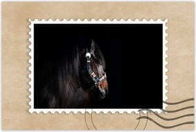 Poszterek 120x80 Ló ló fekete alapon