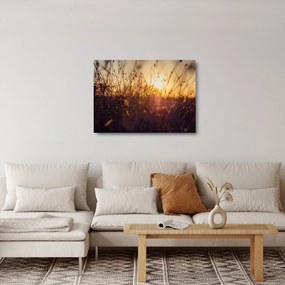 A mező képe naplementekor (üvegen) (70x50 cm)