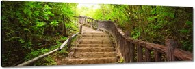 Vászonkép 90x30 Lépcsők az erdőbe