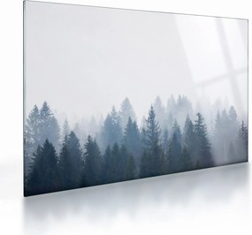 Üveg kép - Ködös erdő (70x50 cm)