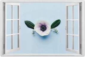 Poszter 60x40 Pipacsvirág