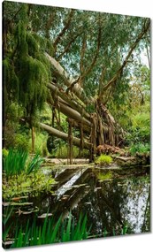 Vászonkép 70x100 Tájkép Látvány