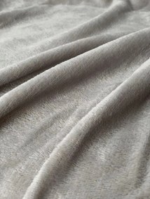 Mikroszálas pléd SOFT, világosszürke Méret: 160 x 200 cm