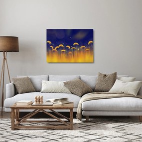 Kép - Pitypang (üvegen) (70x50 cm)