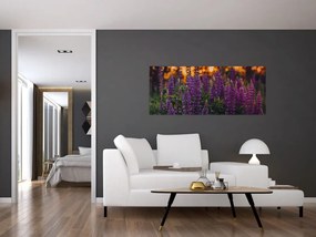 Egy csillagfürt virág képe (120x50 cm)