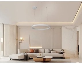 LED dimmelhető csillár zsinóron LED/42W/230V 3000-6500K + távirányítás