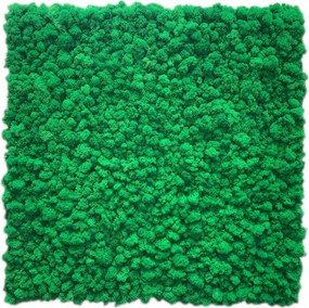 Moha panel finn Prémium! 30x30 cm