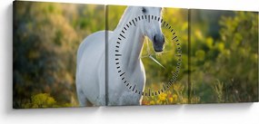 Egy fehér ló képe a réten (órával) (90x30 cm)