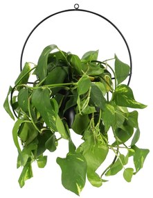 Planter fekete fali virágtartó - Esschert Design