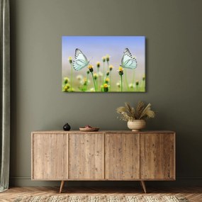 Pillangók eképe a virágon (90x60 cm)
