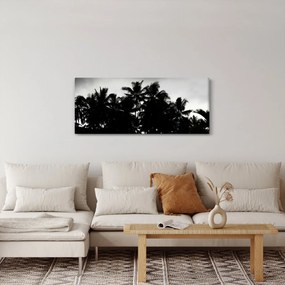 A fekete-fehér pálmafák képe (120x50 cm)