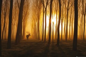 Plakát Stefan Miron - Hirsch im Wald