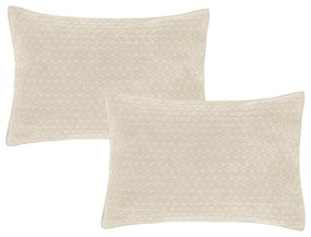 Bársony párnahuzat szett 2 db-os 50x75 cm Attica Velvet Embroidered – Bianca