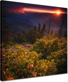 Vászonkép 40x40 Kilátás Tájkép