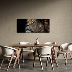 Kép - A fenséges oroszlán (120x50 cm)