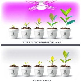 LED Növénynevelő izzó VITABLOOM E27/40W/230V 1200K - Brilagi